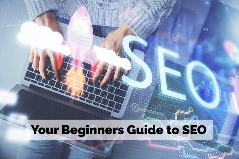 Seo Beginner Guide